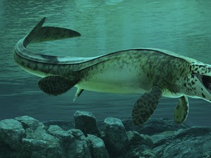 Ilmuwan Temukan Monster Laut Sepanjang 13 Meter