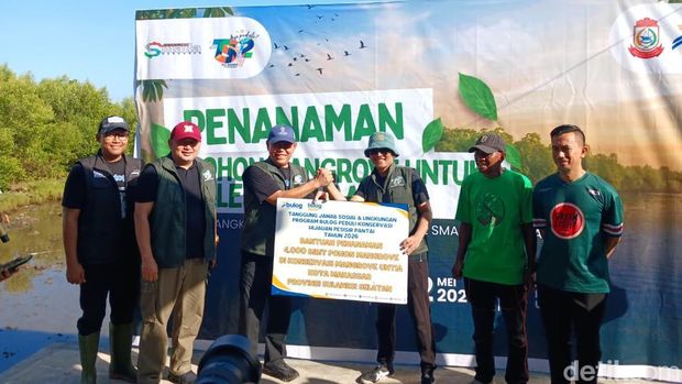 Tudang Sipulung Nasional IKA Smada Makassar diisi dengan aksi penanaman mangrove di Kelurahan Untia.