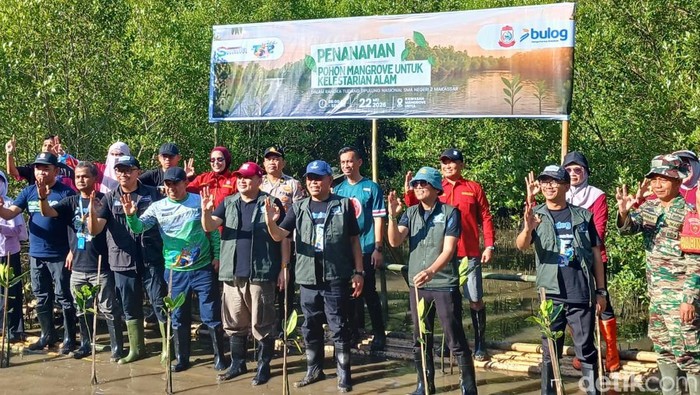 Tudang Sipulung Nasional IKA Smada Makassar diisi dengan aksi penanaman mangrove di Kelurahan Untia.