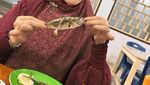 Angelina Sondakh Pulang Kampung ke Manado, Sibuk Panen Cabe di Kebun Sendiri