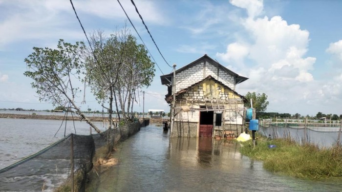 Penampakan salah satu rumah yang terdampak banjir rob di Desa Tunggulsari, Kecamatan Tayu, Kabupaten Pati, Sabtu (23/5/2026).