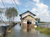 Desa Tunggulsari Pati Kena Banjir Rob, 69 Rumah Terdampak