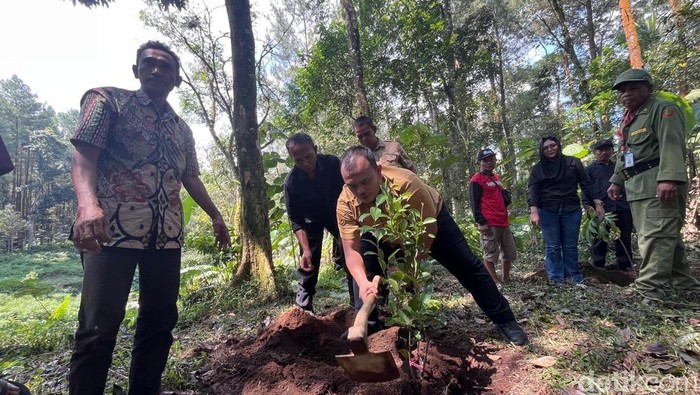 Ratusan kader konservasi hutan mengikuti deklarasi dan penanaman bibit pohon di wilayah KPH Perhutani Banyuwangi Barat.