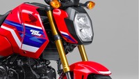 Honda Kenalkan Generasi Terbaru Grom 2026, Harganya Rp 48 Jutaan!