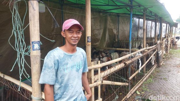 Pedagang sapi di kawasan Jalan Gatot Subroto, Jakarta Selatan.