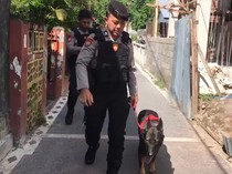 Polisi Kerahkan Anjing K9 Cari Bukti Kasus Dugaan Pembunuhan Mahasiswi Unram