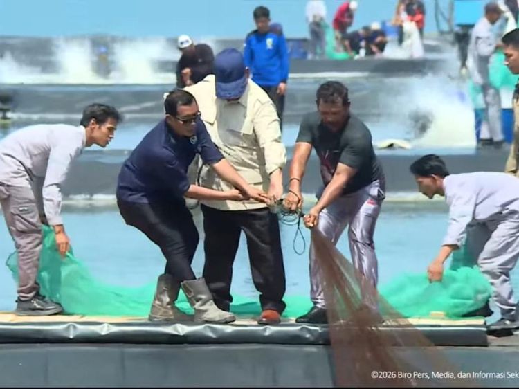 Momen Prabowo Panen Udang Bareng Penambak di Kebumen Jateng