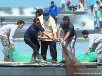 Video Prabowo Sebut Tambak Udang Kebumen Menjanjikan, Hasilkan 40 Ton per Ha