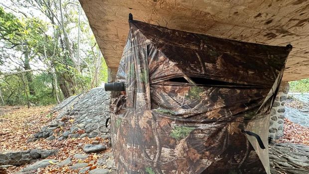 Tenda tempat Rendra berburu gambar macan Leopard di Hutan Baluran.