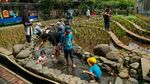 Ada Mini Zoo dan Kebun Hidroponik, Kafe Asri Ini Jadi Favorit Warga Bekasi
