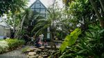 Ada Mini Zoo dan Kebun Hidroponik, Kafe Asri Ini Jadi Favorit Warga Bekasi