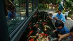 Ada Mini Zoo dan Kebun Hidroponik, Kafe Asri Ini Jadi Favorit Warga Bekasi