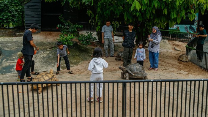 Di tengah padatnya kawasan perkotaan Bekasi, terdapat sebuah kafe bernuansa alam yang belakangan menjadi favorit warga untuk bersantai bersama keluarga. Berlokasi di kawasan Jatimurni, Pondok Melati, tempat bernama Susy Garden ini menawarkan pengalaman nongkrong berbeda dengan suasana hijau, udara teduh, serta konsep taman terbuka yang nyaman.