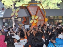 Ndarboy Genk Guncang Panggung Jogja Run D-City, Kicau Mania Pecah!