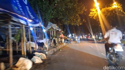 Beberapa lapak hewan kurban yang menggunakan trotoar hingga badan Jalan di Kota Mataram, Minggu (24/5/2026).