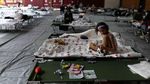 Kebocoran Bahan Kimia Picu Evakuasi Warga di California