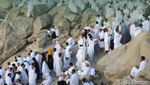 Keutamaan Puasa Tarwiyah dan Arafah Sebelum Idul Adha