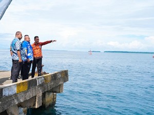 Genjot Ekonomi di Papua, Pemerintah Kaji Pengembangan Pelabuhan Korido