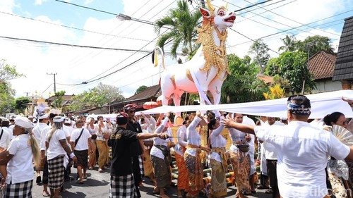 Pelebon Ida Pedanda Istri Purnama di Jalan Raya Kedewatan hingga ke kawasan Taman Dedari, Ubud, Gianyar Minggu (25/5/2026).