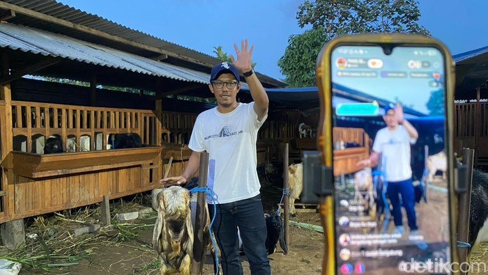 Lucky Aditya Ramadhan, peternak kambing di Kota Malang saat jualan live streaming