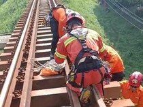 Pria di Pasuruan Tewas Tertabrak KA Dhoho, Tubuh Tersangkut Jembatan