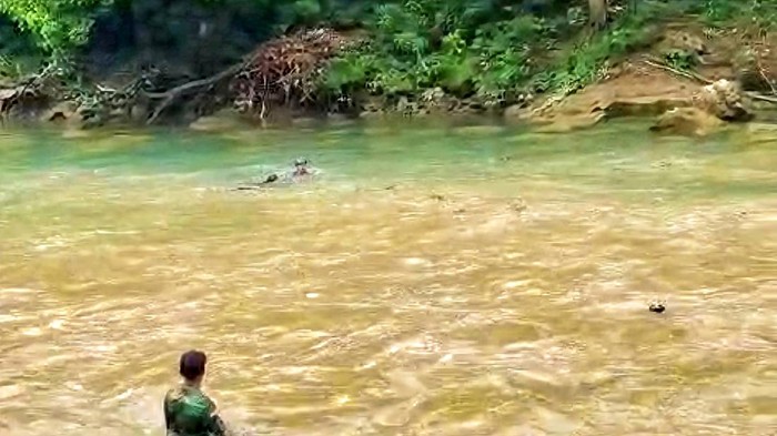 Tangkapan layar video viral memperlihatkan aksi heroik sejumlah pihak saat menyelamatkan para pelajar korban luapan air terjun Cikaso