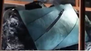  Video Tas Mewah yang Diklaim dari Kulit T-rex Asli, Ini Wujudnya!