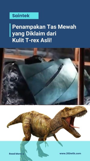  Video Tas Mewah yang Diklaim dari Kulit T-rex Asli, Ini Wujudnya!