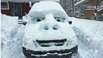 Hmm, kira-kira gimana reaksi orang-orang saat lihat mobil ini di jalan ya. Foto: Bored Panda