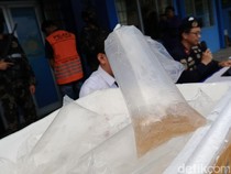 Penyelundupan 31.000 Benih Lobster dari Lampung ke Vietnam Digagalkan KKP