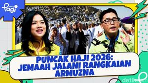 Video: Puncak Haji 2026: Jemaah Jalani Rangkaian Armuzna
