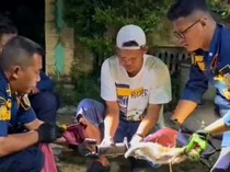 Kepala Kucing Nyangkut Knalpot Mobil, Damkar Klaten Turun Tangan
