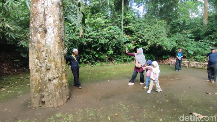 Hamzah dan keluarganya sedang menjajal mitos Sabung Ayam di Situs Bojong Galuh Karangkamulyan Ciamis