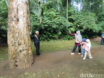 Menyusuri Jejak Ciung Wanara di Situs Karangkamulyan Ciamis