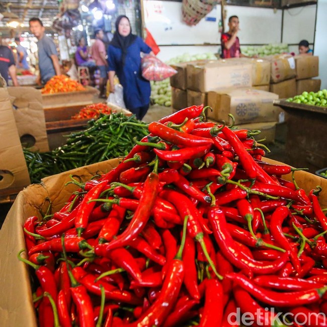 Harga Cabai Pedas, Dompet Warga Ikut Panas Jelang Idul Adha