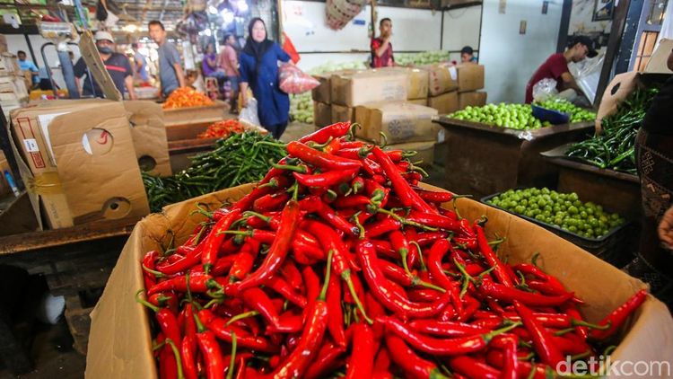 Harga Cabai Pedas, Dompet Warga Ikut Panas Jelang Idul Adha