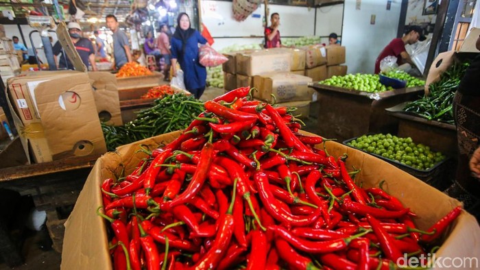 Menjelang Hari Raya Idul Adha 1447 Hijriah, harga sejumlah jenis cabai di pasar tradisional mengalami lonjakan tajam dan membuat masyarakat mulai mengeluhkan tingginya biaya kebutuhan dapur. Kenaikan harga terjadi di sejumlah komoditas cabai akibat meningkatnya permintaan dan terbatasnya pasokan di pasaran.