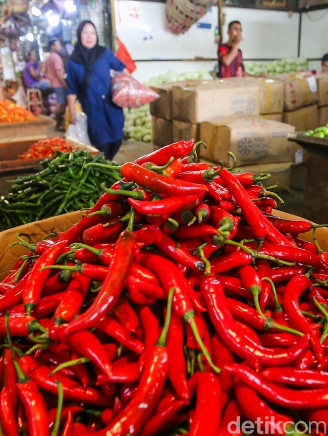 Harga Cabai Pedas, Dompet Warga Ikut Panas Jelang Idul Adha