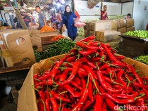 Harga Cabai Pedas, Dompet Warga Ikut Panas Jelang Idul Adha