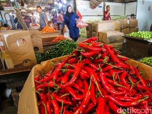Harga Cabai Palembang Capai Rp 75.000/Kg, Dipicu Kemarau-Rantai Pasok