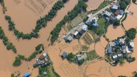 Banjir Terjang China, 900 Ular Berbisa dari Penangkaran Serbu Pemukiman Warga