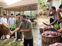 Waspada Zoonosis Saat Idul Adha, Penyakit Hewan Bisa Menular!
