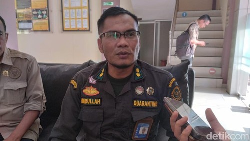 Ketua Tim Kerja Karantina Hewan, Badan Karantina NTB, Amirullah, Senin (25/5/2026).