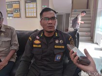 26.979 Sapi NTB Dikirim ke Jabodetabek untuk Kurban 2026