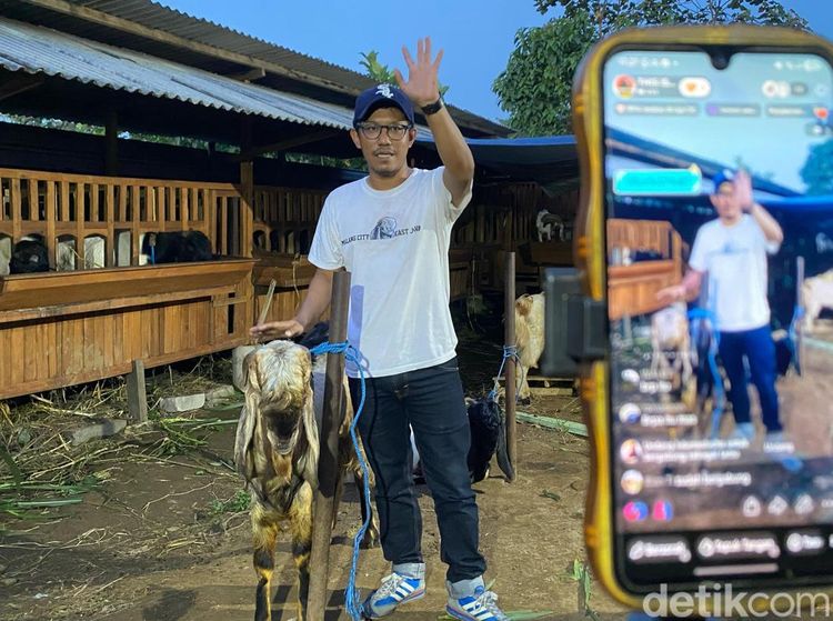 Cara Unik Perternak di Kota Malang Jual Kambing Kurban