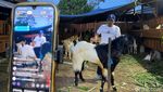 Cara Unik Perternak di Kota Malang Jual Kambing Kurban