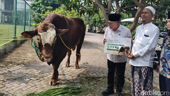 Menko Pangan Serahkan Sapi Kurban 1,1 Ton ke Ponpes Bumi Sholawat Sidoarjo