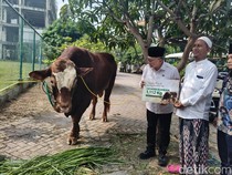 Menko Zulhas Serahkan Sapi Kurban 1,1 Ton ke Ponpes Bumi Sholawat Sidoarjo