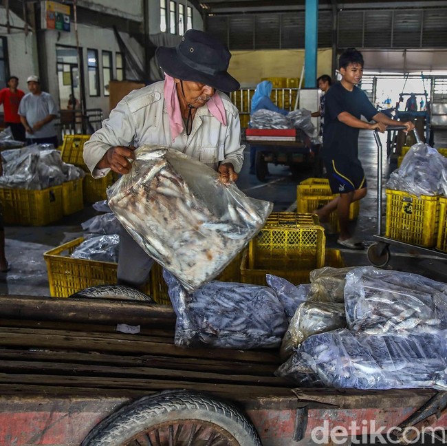 Muara Angke Bergeliat, KKP Bidik 10,57 Juta Ton Ikan