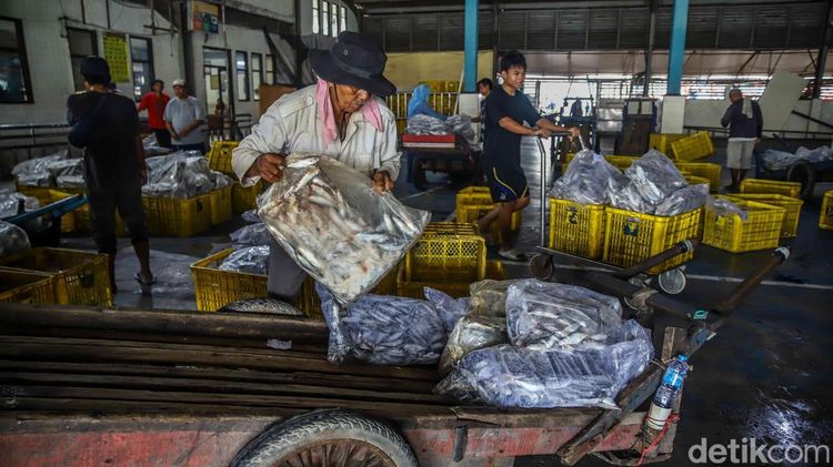 Muara Angke Bergeliat, KKP Bidik 10,57 Juta Ton Ikan
